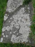 image of grave number 365782